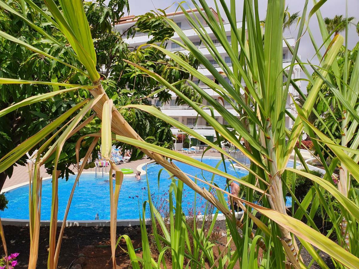 Spectacular Renovated Apartment, 5 Min To Camison Beach, With Aircon Arona  Exterior photo